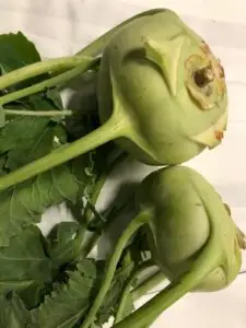 koolrabi Sally
