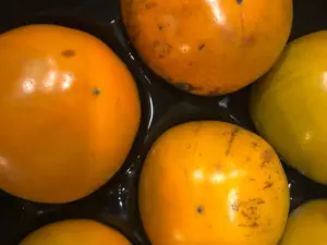 kaki fruit sally