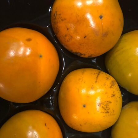 kaki fruit sally